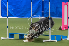 2024-3-10-May-Trial-600