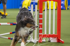 2024-3-10-May-Trial-601