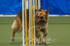 2024-3-10-May-Trial-602