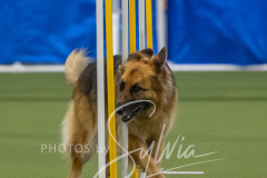 2024-3-10-May-Trial-603