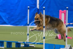 2024-3-10-May-Trial-605