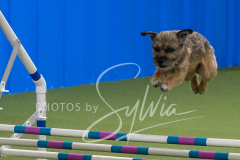 2024-3-10-May-Trial-615