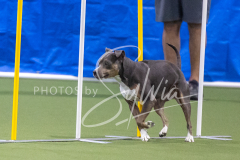 2024-3-10-May-Trial-616