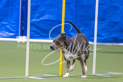 2024-3-10-May-Trial-617