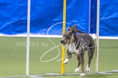 2024-3-10-May-Trial-618