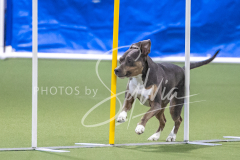 2024-3-10-May-Trial-619