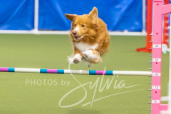 2024-3-10-May-Trial-620