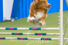 2024-3-10-May-Trial-621