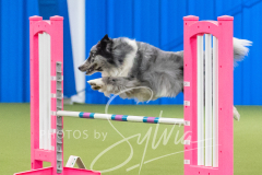 2024-3-10-May-Trial-622