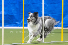 2024-3-10-May-Trial-623