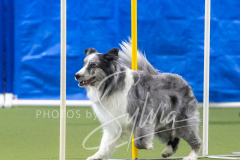 2024-3-10-May-Trial-624