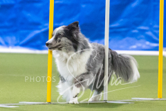 2024-3-10-May-Trial-626