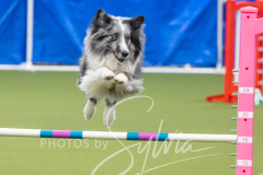 2024-3-10-May-Trial-627