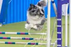 2024-3-10-May-Trial-628