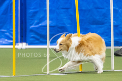 2024-3-10-May-Trial-629