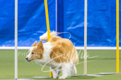 2024-3-10-May-Trial-630