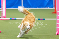 2024-3-10-May-Trial-631