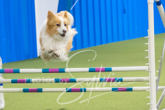 2024-3-10-May-Trial-632