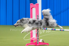 2024-3-10-May-Trial-633