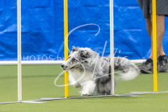 2024-3-10-May-Trial-634