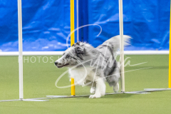 2024-3-10-May-Trial-635