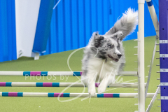 2024-3-10-May-Trial-636