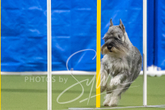 2024-3-10-May-Trial-638