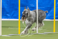 2024-3-10-May-Trial-639