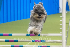 2024-3-10-May-Trial-642