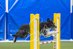 2024-3-10-May-Trial-643