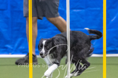 2024-3-10-May-Trial-644