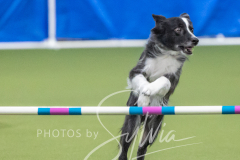 2024-3-10-May-Trial-645