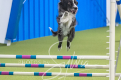 2024-3-10-May-Trial-646