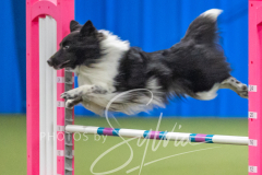 2024-3-10-May-Trial-647