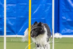 2024-3-10-May-Trial-648