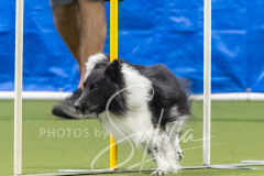 2024-3-10-May-Trial-649