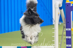 2024-3-10-May-Trial-651