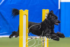 2024-3-10-May-Trial-652