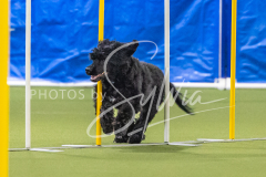 2024-3-10-May-Trial-654