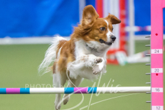 2024-3-10-May-Trial-655