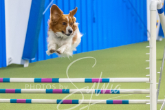 2024-3-10-May-Trial-656