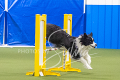 2024-3-10-May-Trial-657