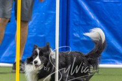 2024-3-10-May-Trial-658