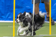 2024-3-10-May-Trial-659