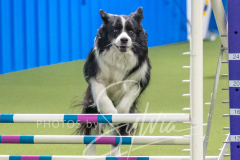 2024-3-10-May-Trial-661