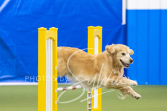 2024-3-10-May-Trial-662