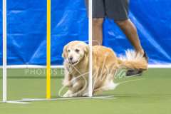 2024-3-10-May-Trial-663