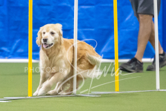 2024-3-10-May-Trial-664