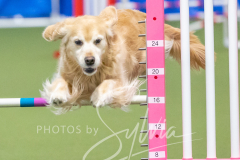 2024-3-10-May-Trial-665