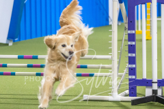 2024-3-10-May-Trial-666